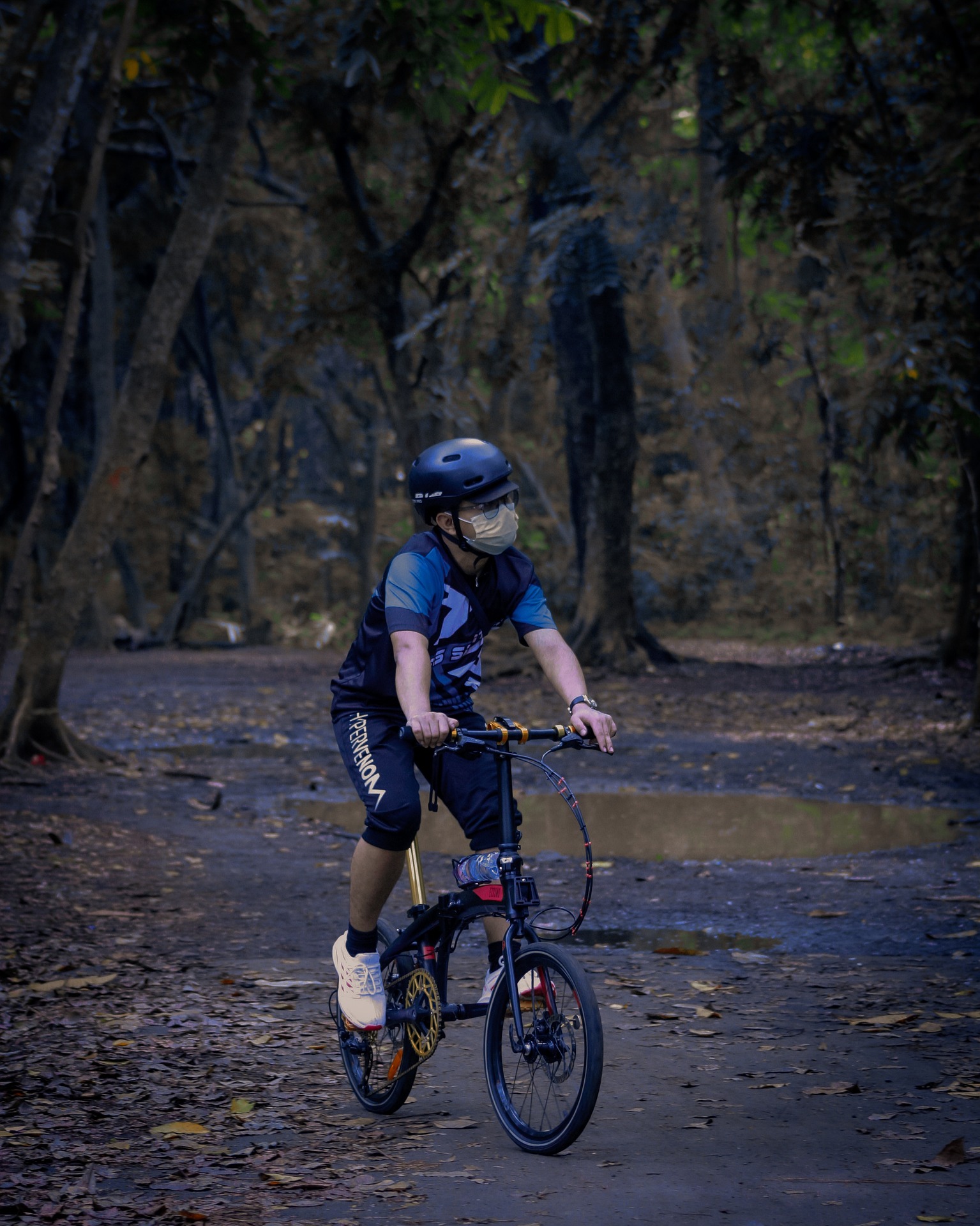 ミニベロを買って後悔した私の視点でミニベロのメリット・デメリットを語ってみた